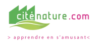 alimentation, fruits, l&eacute;gumes